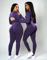 Sujey Long Sleeve Crop Top - Amethyst